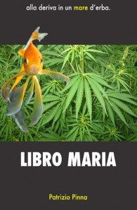 Libro Maria Cover - Guide Self Publishing e scrittura online | Storia Continua